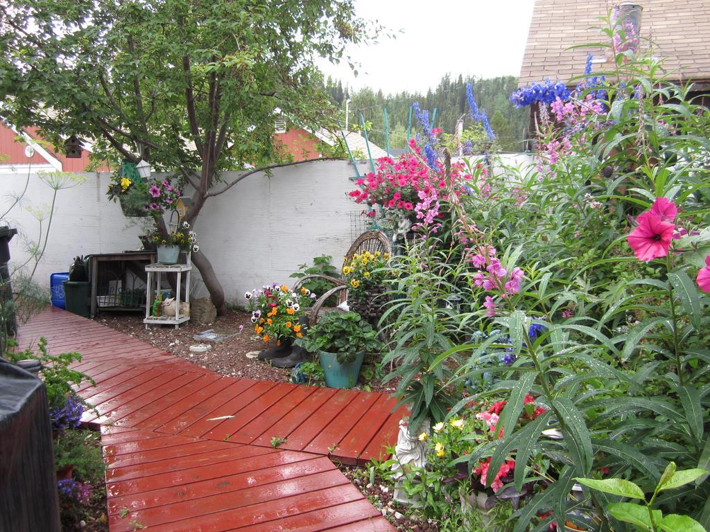 Casey'S Bed & Breakfast Whitehorse Ruang foto